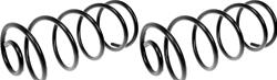 Dorman Premium Chassis Coil Springs for 1966 LEMANS, 1965 SPECIAL - 566-258