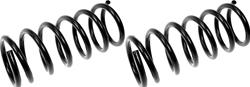 Dorman Premium Chassis Coil Springs for 2009-2014 MAXIMA - 566-293