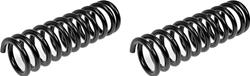 Dorman Premium Chassis Coil Springs for 2002-2006 LIBERTY - 566-314