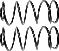 Dorman Premium Chassis Coil Springs for 1966 LEMANS, 1965 SPECIAL - 566-317