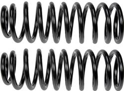 Dorman Premium Chassis Coil Springs for 2005-2010 300, 2006-2010 CHARGER, 2005-2008 MAGNUM - 566-357