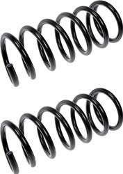 Dorman Premium Chassis Coil Springs for 2007-2012 ALTIMA - 566-898