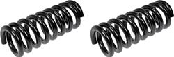 Dorman Premium Chassis Coil Springs for 1989-1993 D250, D350 - 566-925