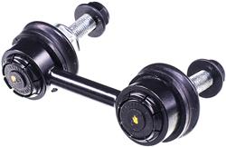 Dorman Premium Chassis Sway Bar End Links for 2013-2018 ALTIMA, 2016-2017 MAXIMA - SL69552PR