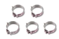 Earl's Performance Super Stock Hose Clamps 818406ERL