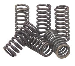 EBC CSK Clutch Springs CSK131