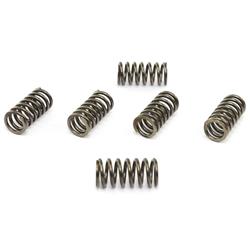 EBC CSK Clutch Springs CSK143
