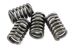 EBC CSK Clutch Springs for 1990-1993 VX800, 1997-2004 VZ800 MARAUDER - CSK162
