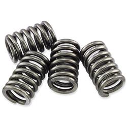 EBC CSK Clutch Springs for 1985 LT250R QUADRACER - CSK146