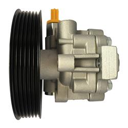 Edelmann Power Steering Pumps 6010P
