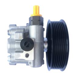 Edelmann Power Steering Pumps 6039P