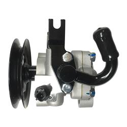 Edelmann Power Steering Pumps for 2006-2009 RIO5, RIO, 2006-2008 ACCENT - 6144PX