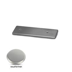 Eddie Marine Billet Aluminum Swim Step Backup Plates 115-64CA