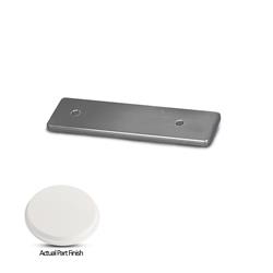 Eddie Marine Billet Aluminum Swim Step Backup Plates 115-64W