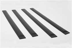 EGR Body Side Moldings