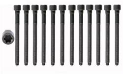 Enginetech Cylinder Head Fasteners for 2006-2010 BEETLE, 2005-2013 JETTA, 2006-2009 RABBIT - HB269