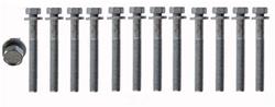 Enginetech Cylinder Head Fasteners for 2004-2006 RAM 1500, 2003-2010 VIPER - HB285