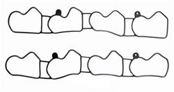 Enginetech Intake Manifold Gaskets for 1997-1998 MARK VIII - IF281-F