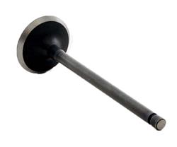 Enginetech Rebuilders Valves IM2518