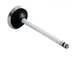 Enginetech Rebuilders Valves IM3502