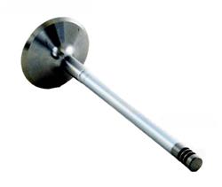 Enginetech Rebuilders Valves IM4352