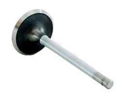 Enginetech Rebuilders Valves IM4356