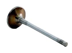 Enginetech Rebuilders Valves IM4442