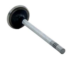 Enginetech Rebuilders Valves V2421S