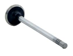 Enginetech Rebuilders Valves V3421