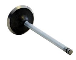 Enginetech Rebuilders Valves V3456