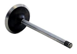 Enginetech Rebuilders Valves V4342