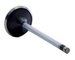 Enginetech Rebuilders Valves V4350