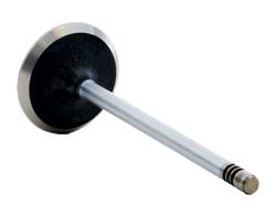 Enginetech Rebuilders Valves V4352