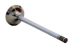 Enginetech Rebuilders Valves V4379