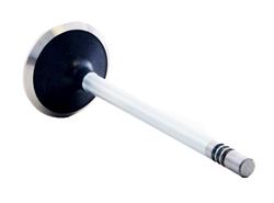 Enginetech Rebuilders Valves V4453