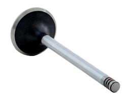 Enginetech Rebuilders Valves V4459