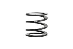 Eibach ERS Tender Springs 0175.225.0250