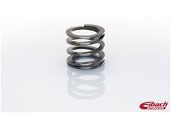 Eibach ERS Tender Springs
