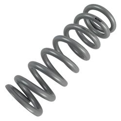 Eibach 10 Inch Coilover Spring 1000.250.0450S