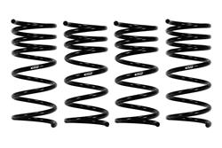 Eibach Pro-Kit Lowering Springs for 1966-1976 2002 - 2001.140