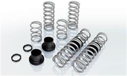 Eibach Pro-UTV Stage 2 Performance Spring Systems E85-209-005-05-22