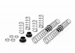 Eibach Pro-UTV Stage 2 Performance Spring Systems for 2018-2020 RZR RS1 - E85-209-013-02-22