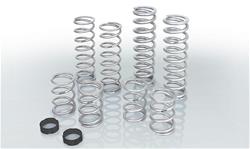 Eibach Pro-UTV Stage 3 Performance Spring Systems E85-212-004-03-22