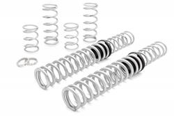 Eibach Pro-UTV Stage 2 Performance Spring Systems E85-209-001-02-22