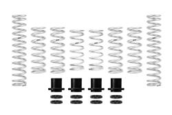 Eibach Pro-UTV Stage 2 Performance Spring Systems for 2019-2020 SXS10S2R TALON 1000R - E85-40-039-02-22