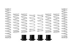 Eibach - Powersports Coilover Springs for 2021-2025 SXS10S4 TALON 1000X-4 - E85-40-050-02-22