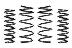 Eibach Pro-Kit Lowering Springs E10-201-004-01-22