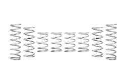 Eibach - Powersports Coilover Springs for 2024-2025 XPEDITION ADV 5 NORTHSTAR - E85-209-036-01-22