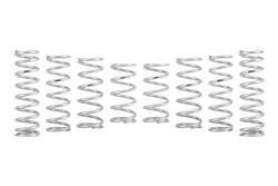 Eibach - Powersports Coilover Springs for 2025-2026 RZR PRO S ULTIMATE, 2022-2024 RZR TURBO R ULTIMATE - E85-209-038-04-22