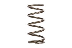 Eibach Coilover Springs PR1100.500.0170